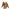 Saint Seiya God Athena Armor Low-Poly 3D Model Games