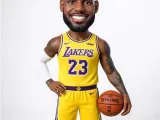 LeBron James👑FUNKO - Free to sell-1