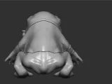 GamaBunta frog NARUTO-5