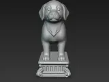 Tiny Puppy-2