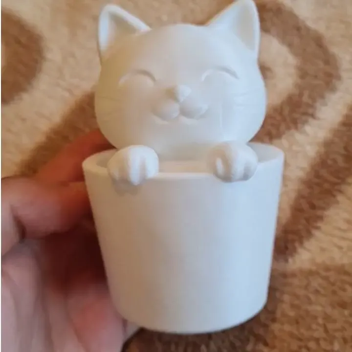 Cute little cat :D