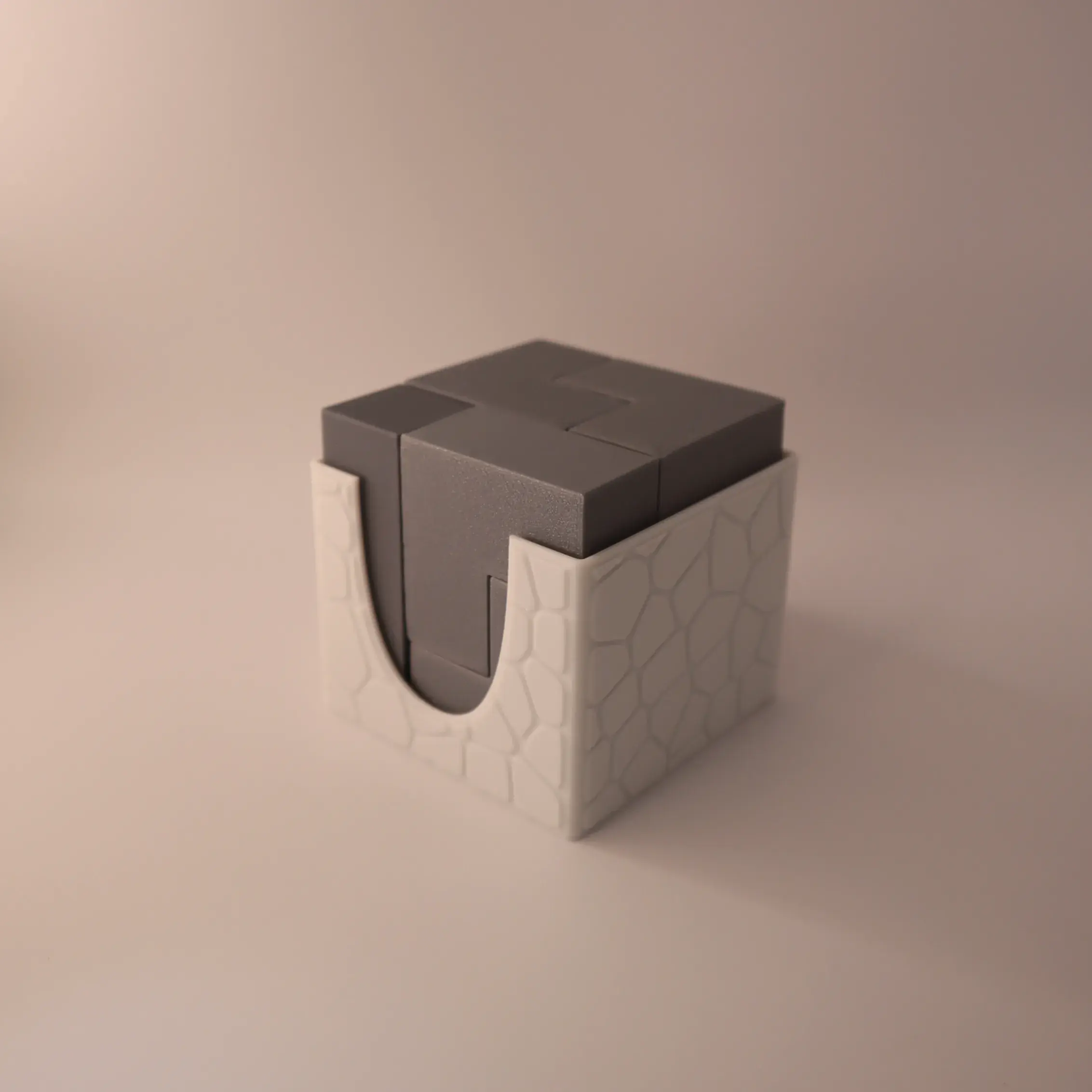 Puzzle Cube Brain-Teaser with Case