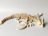 Flexi Skeleton Dragon-6