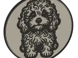 Cavapoo Coaster-1