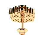Cluster Earrings-2