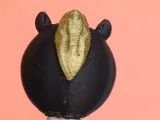 Goal & Resolution Writer a Lunar New Year Horse Pen Cap-5
