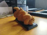 Life of a Squirrel: From Juvenile to Adult – Two‑Color Print-4