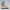 Akira Lounge Beauty – Ecchi Collection