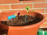 PLANT SUPPORT.-5