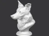 Border Collie Bust-1
