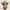 Tiny Heroes – Dark Souls Edition – Solaire