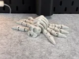 Flexi Skeleton Spider V1-6