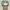 Xbox Controller Stand AOT Colossus Titan