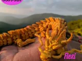 Flexi Dragon-2