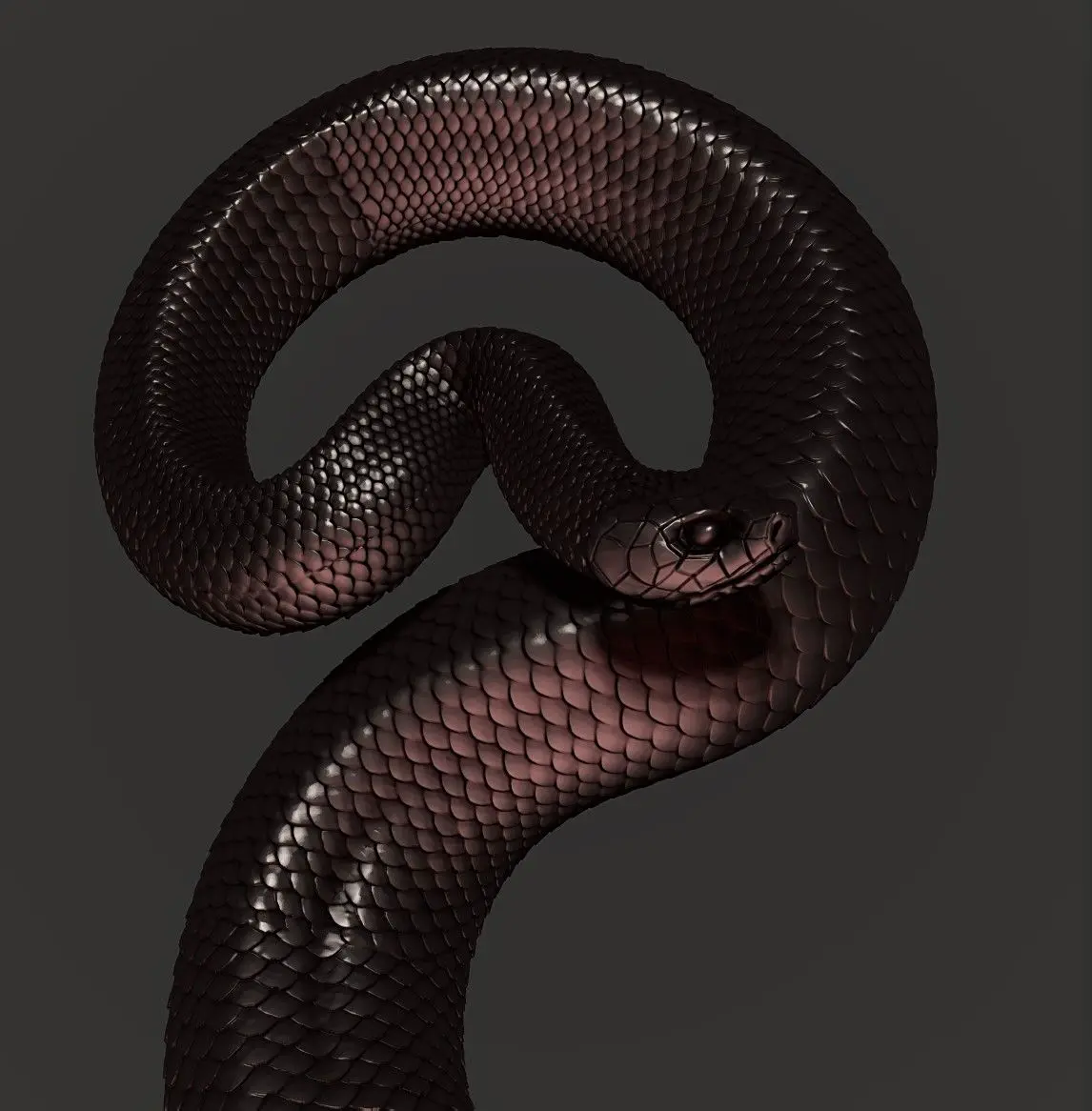 Snake