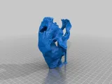 MiniSaberToothSkull improvement Support-2
