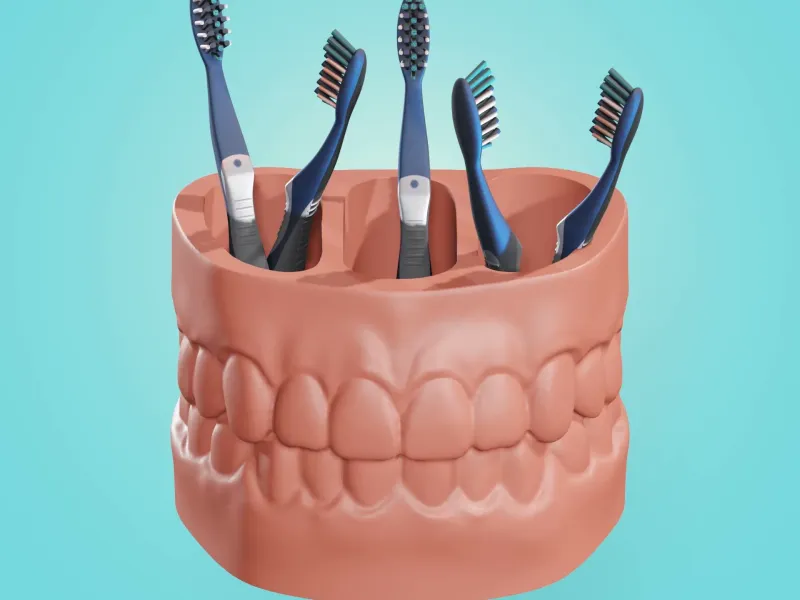 Toothbrush Holder – Anatomical Teeth Organizer for Dental Cl