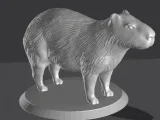 Capybara-1
