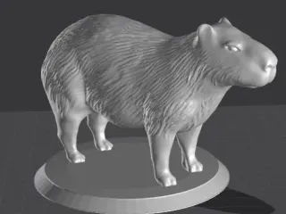 Capybara