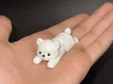 萌趣弹簧棕熊-2