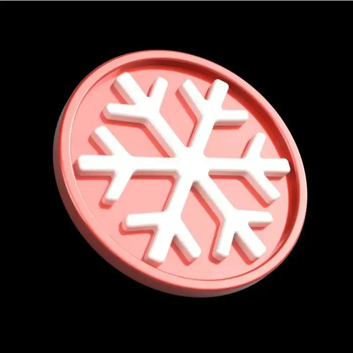 Snowflake Cup Coaster