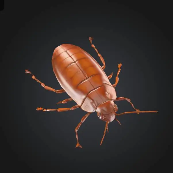 3D Printer Files | 3MF File | Cockroach toy prank | Creality Cloud