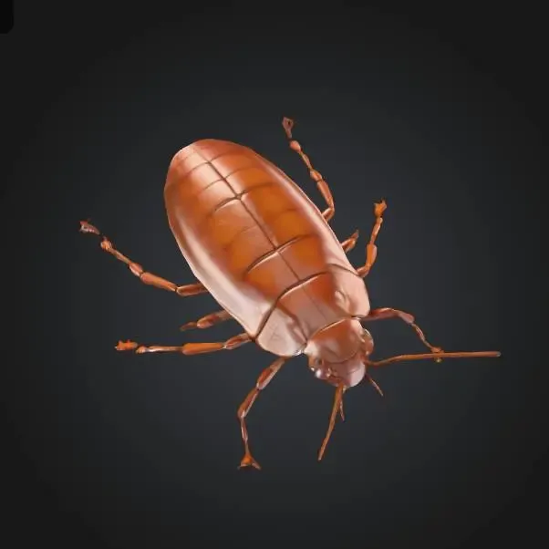 Cockroach toy prank