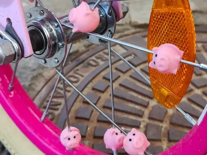 Bike wheel spoke piggies