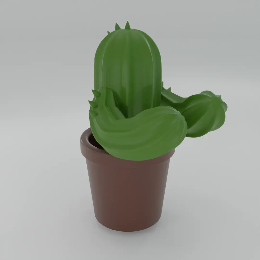 Cactus Brilhouder