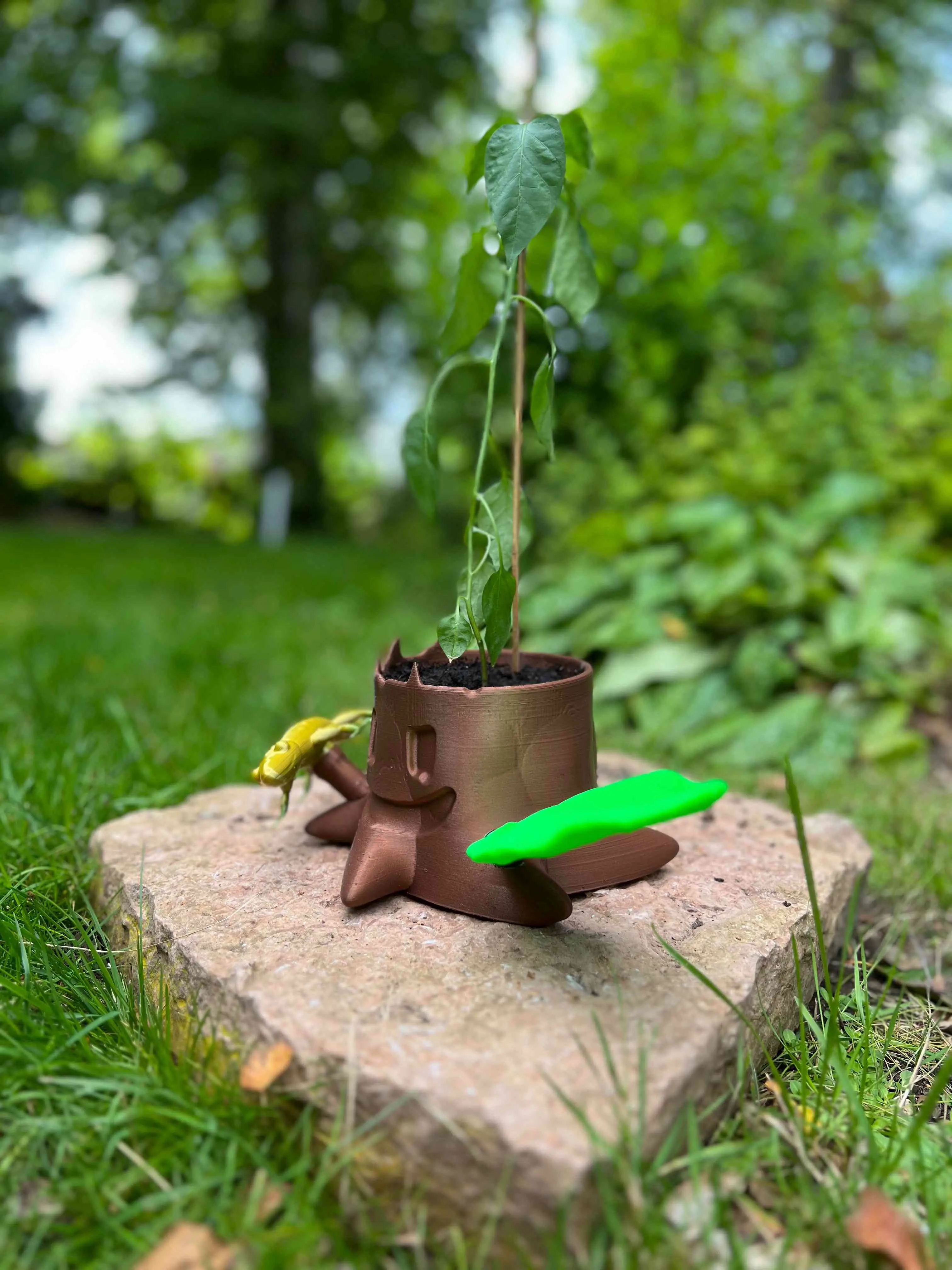Parcela de plante cu ciot de copac și șopârlă