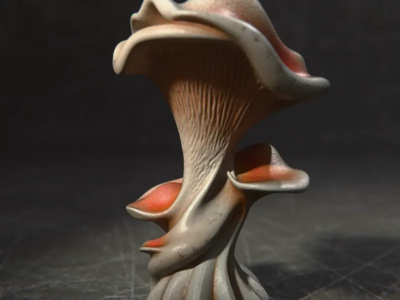 Fungus Decoration