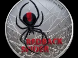 spider black widow-0