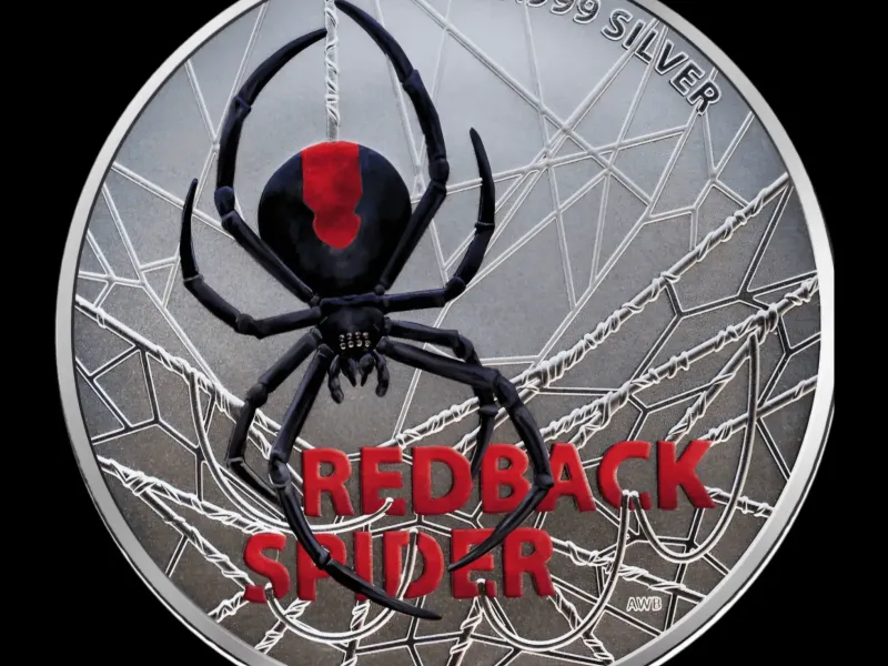 spider black widow