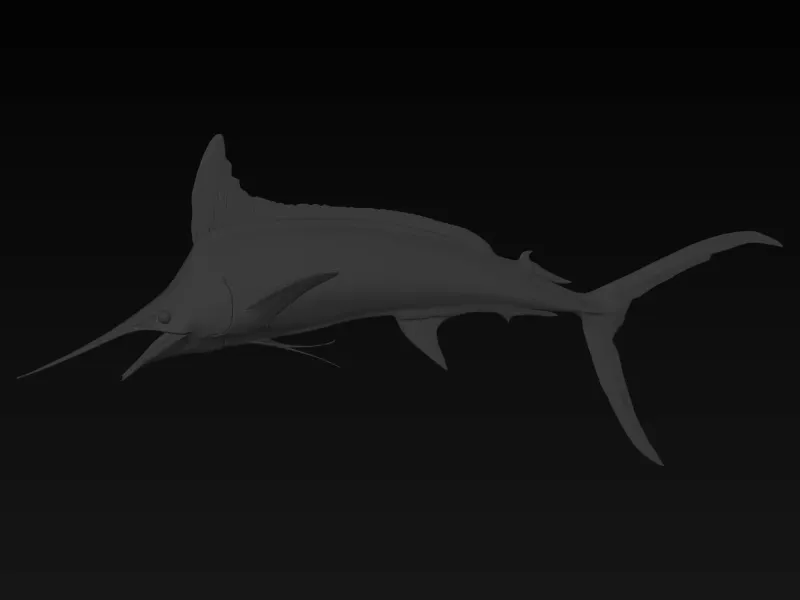 sword fish