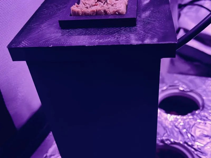 Hydro Pot - Mini Dwc
