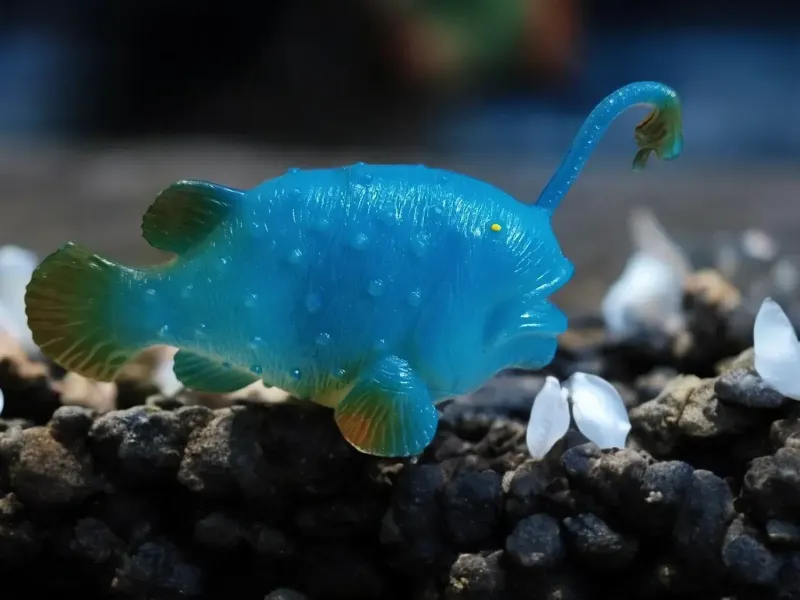 Deep sea fish
