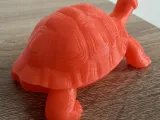 Turtle-2
