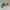 Knitted Colorblock Chameleon Friend – Noah0x03