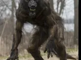michigan wolfman-0
