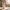Hello Kitty Bunny (Rabbit) Costume 3D Print Model