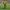 ZAYU mascota Mexico Mundial futbol 2026