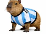 Capibara Argentina-1