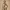 Nina Williams Resin Lithophane