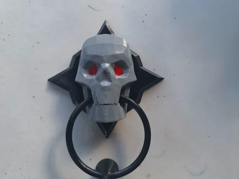 skull door knocker