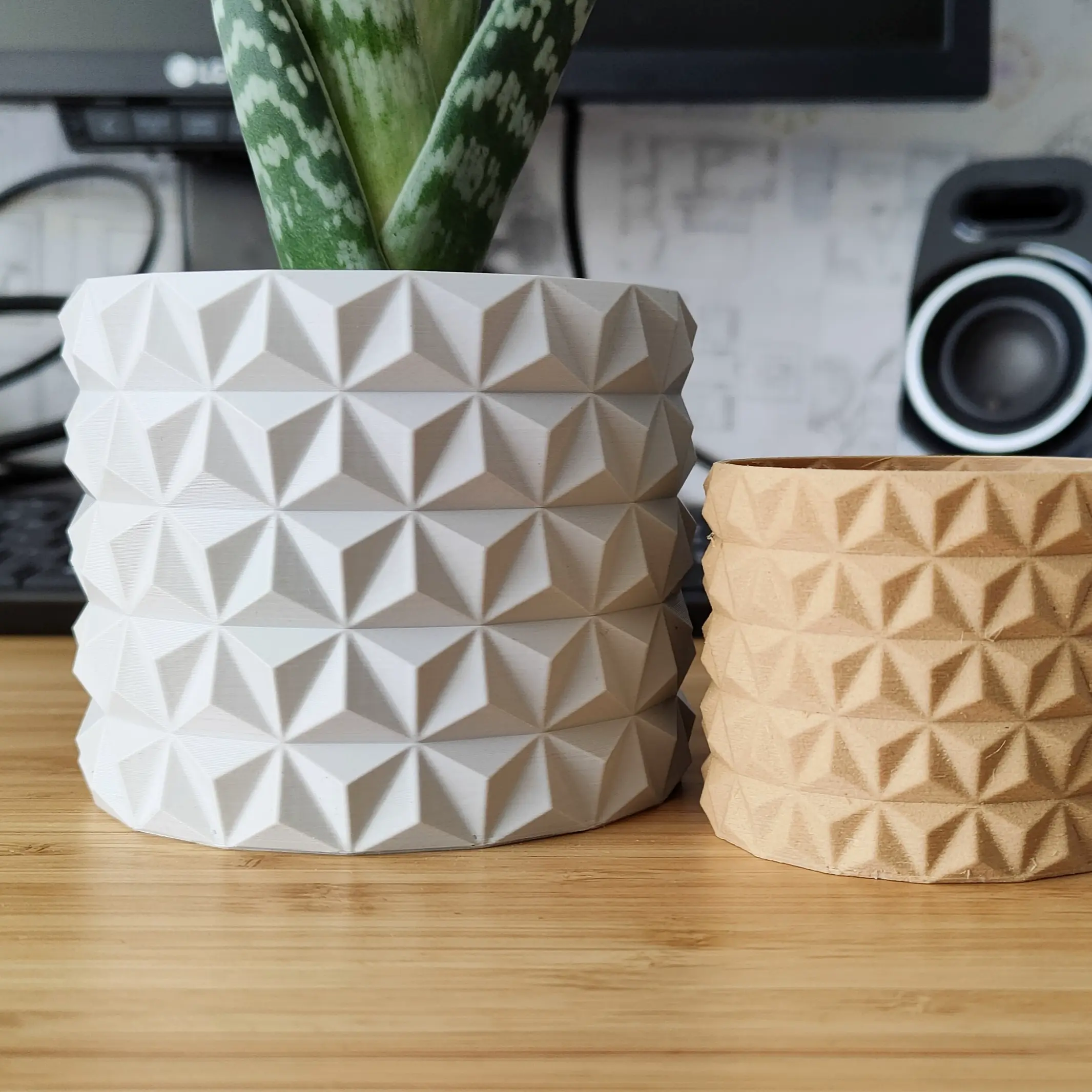 Cactus Flower Plant pot and Planter - Vase mode design