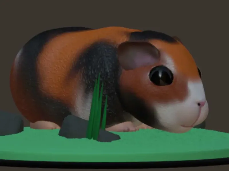 guinea pig