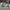 Pingouin de Noël - Hueforge - 5 couleurs