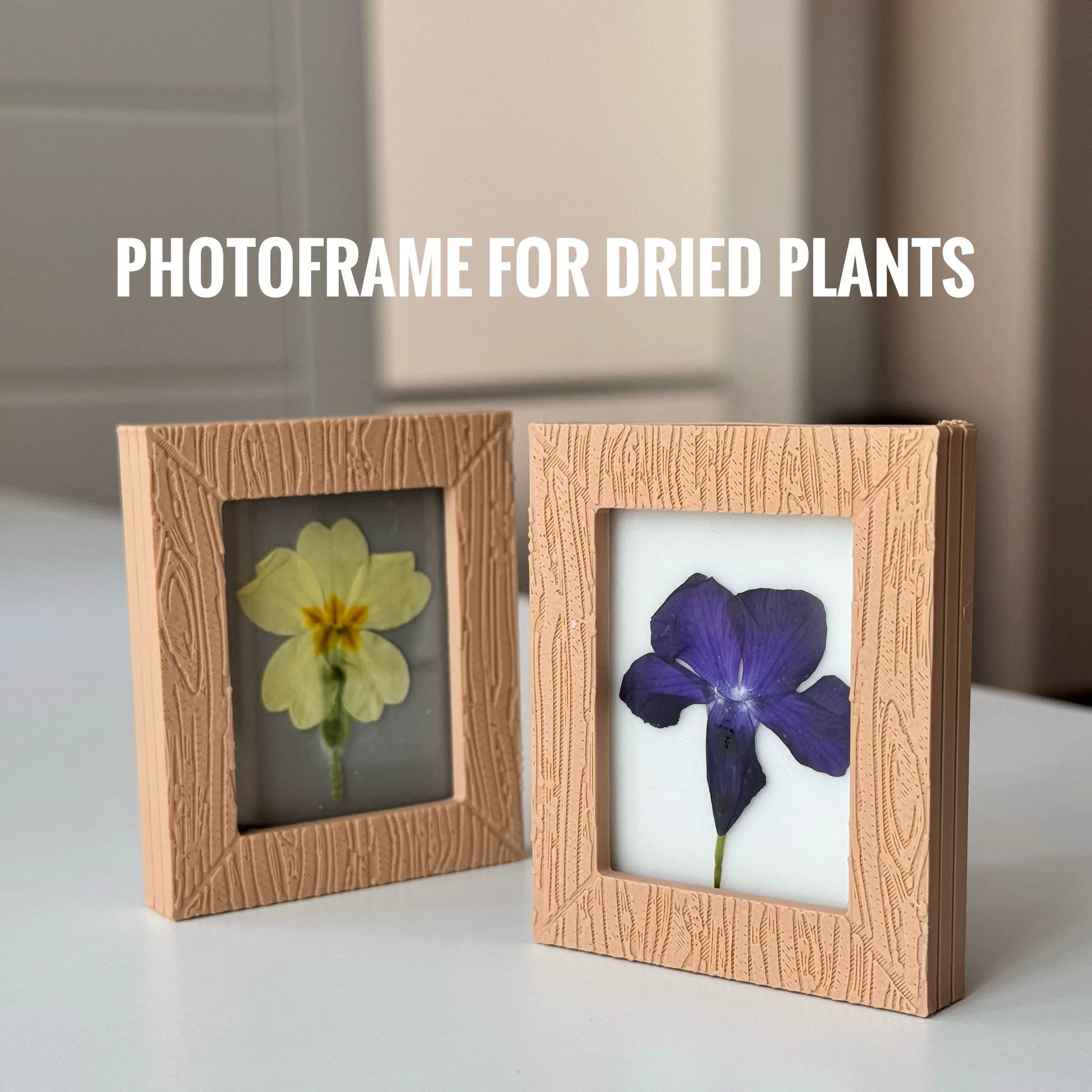 Photoframe for dried plants