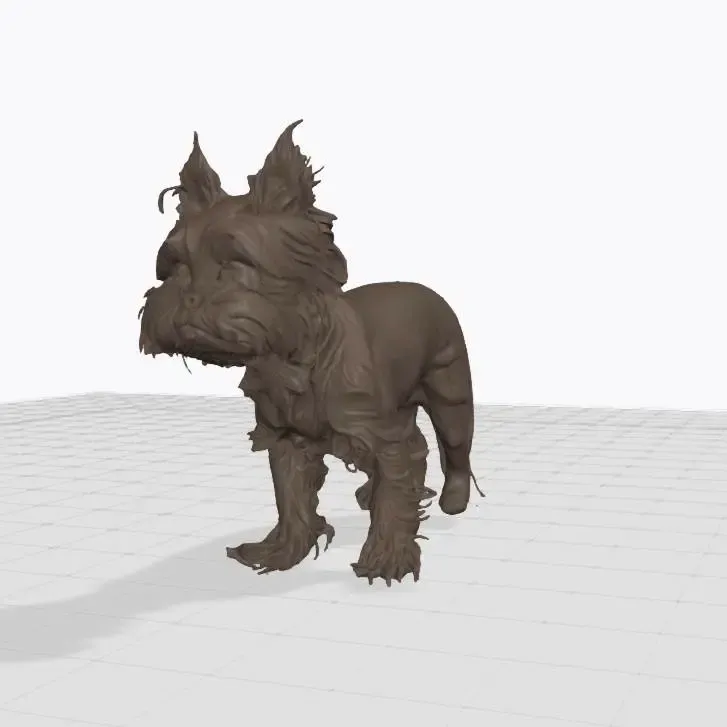 Maya Yorkshire terrier