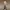 Abby The Last Of Us